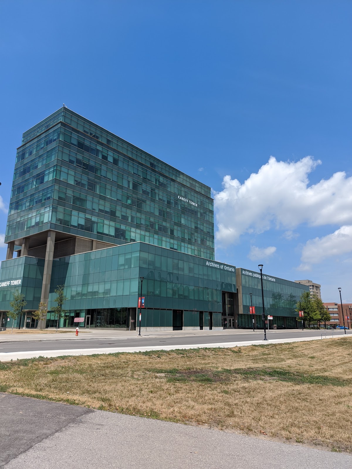 York University photo 9