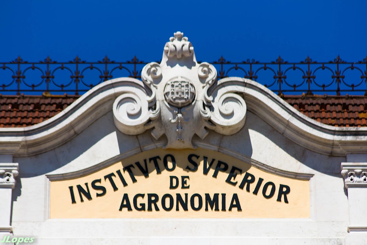 Instituto Superior de Agronomia photo 1