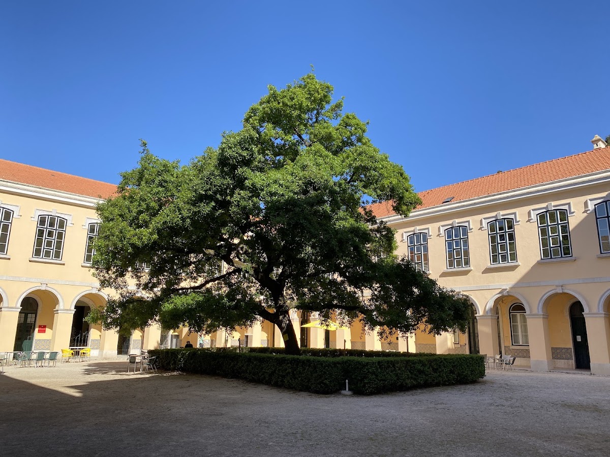 Instituto Superior de Agronomia photo 2