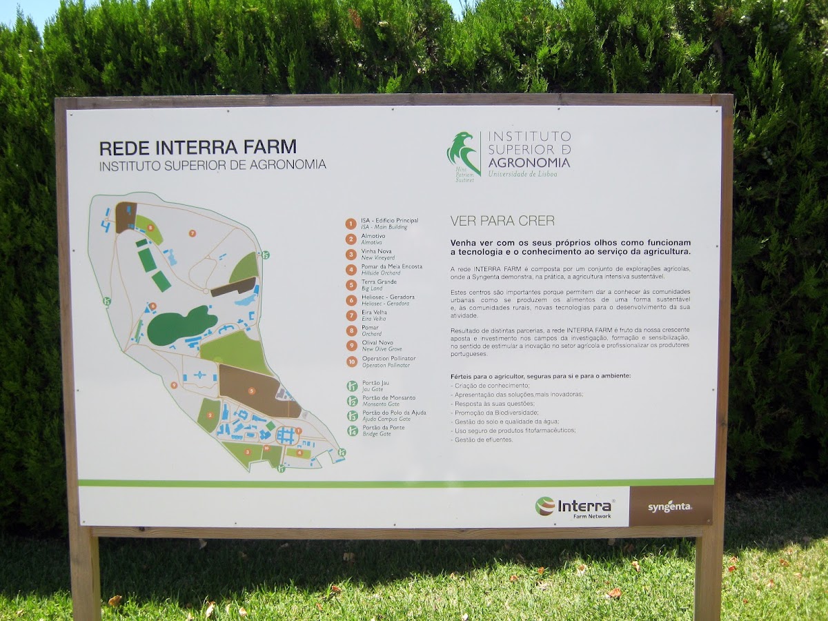 Instituto Superior de Agronomia photo 5