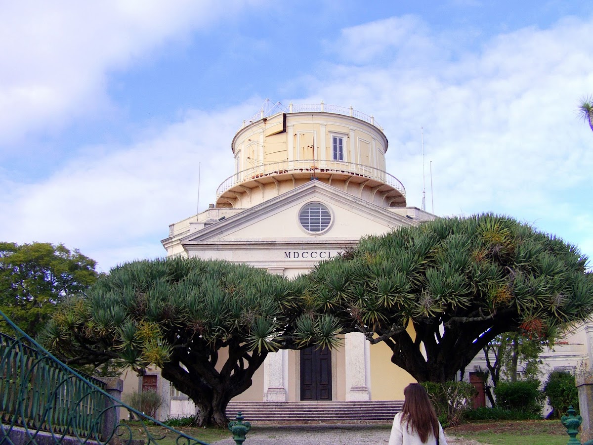 Instituto Superior de Agronomia photo 6