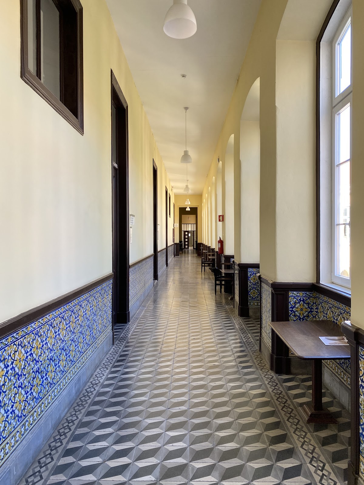 Instituto Superior de Agronomia photo 8