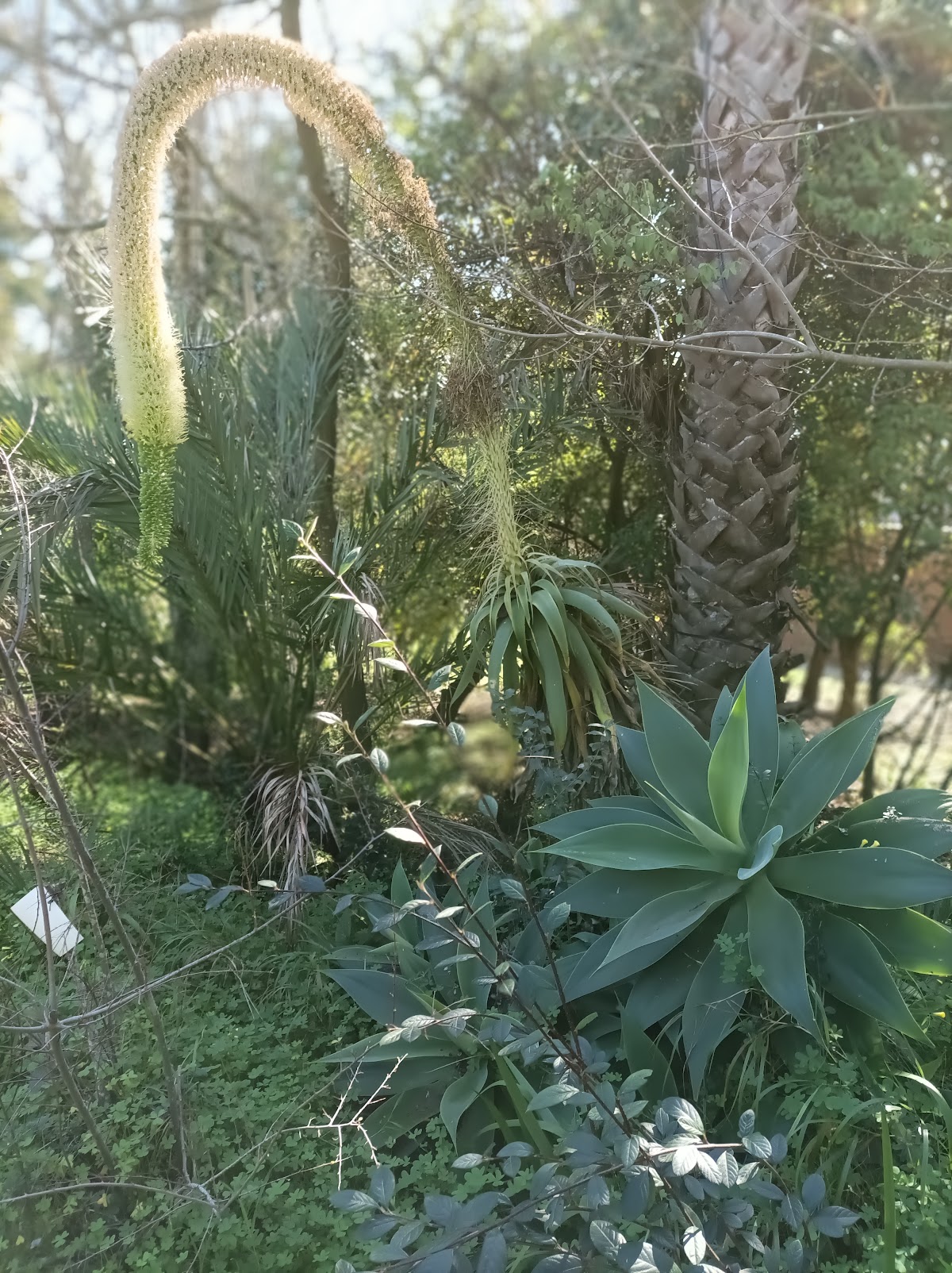 Instituto Superior de Agronomia photo 9