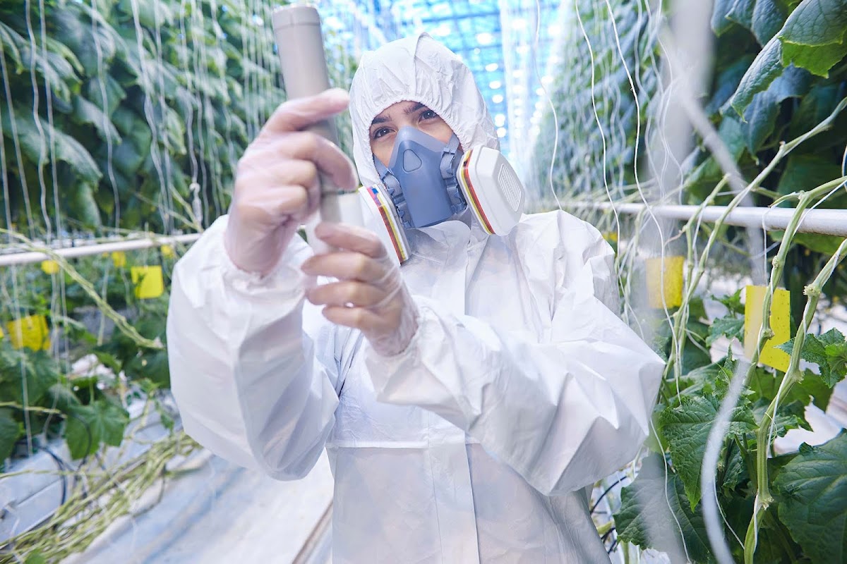 ACG Tertiary & Careers photo 5