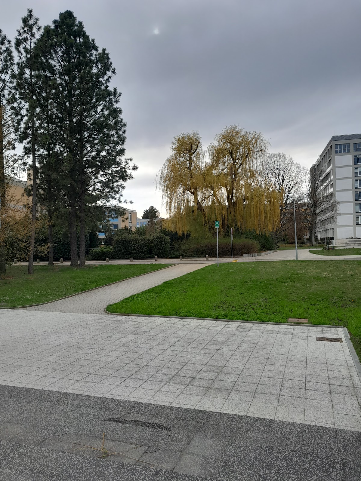 Czech University of Life Sciences Prague photo 9