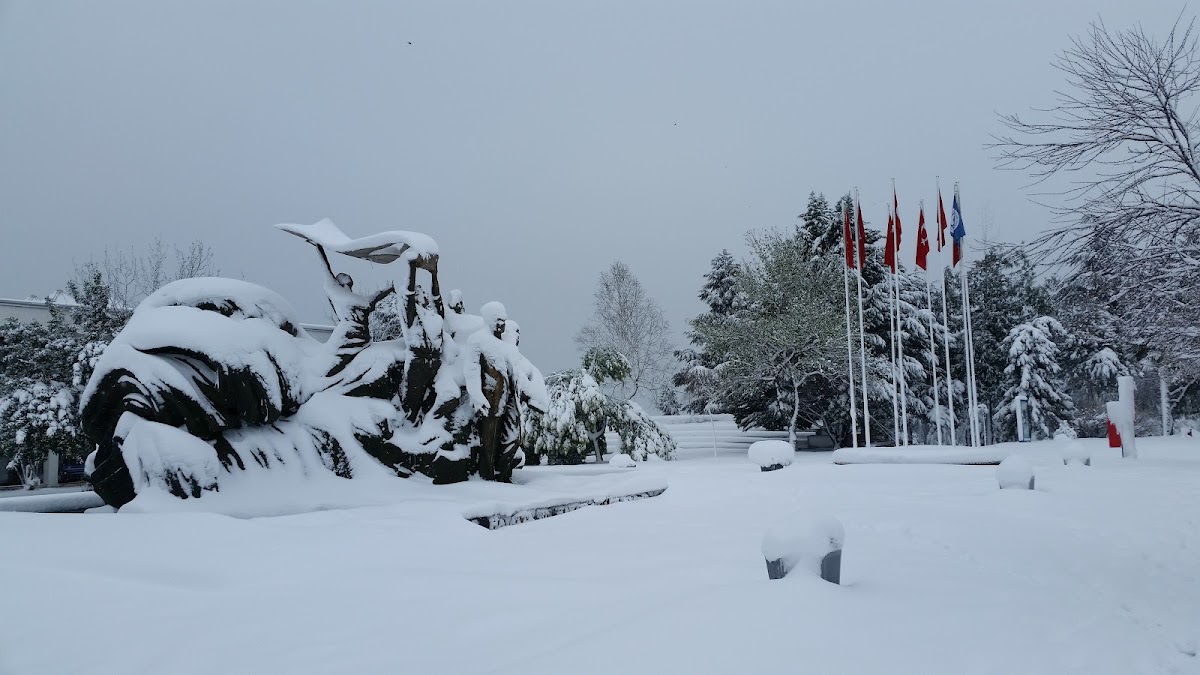 Karadeniz Technical University photo 1