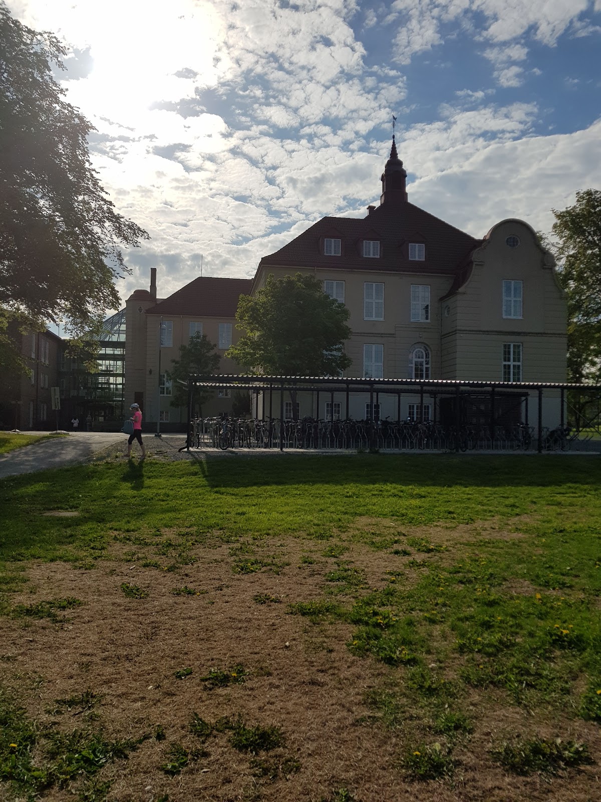 Queen Maud University College of Early Childhood Education photo 4