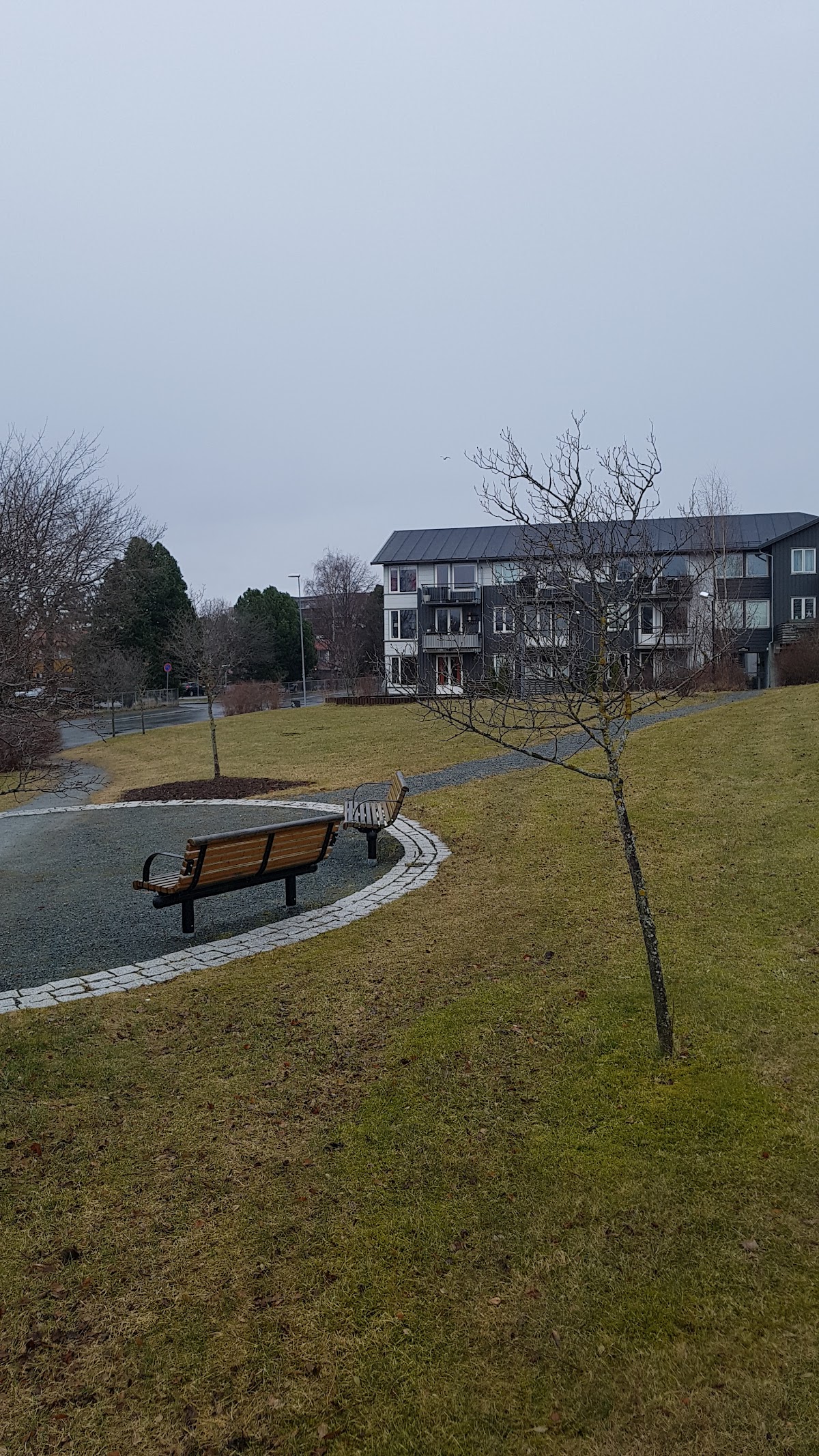 Queen Maud University College of Early Childhood Education photo 8