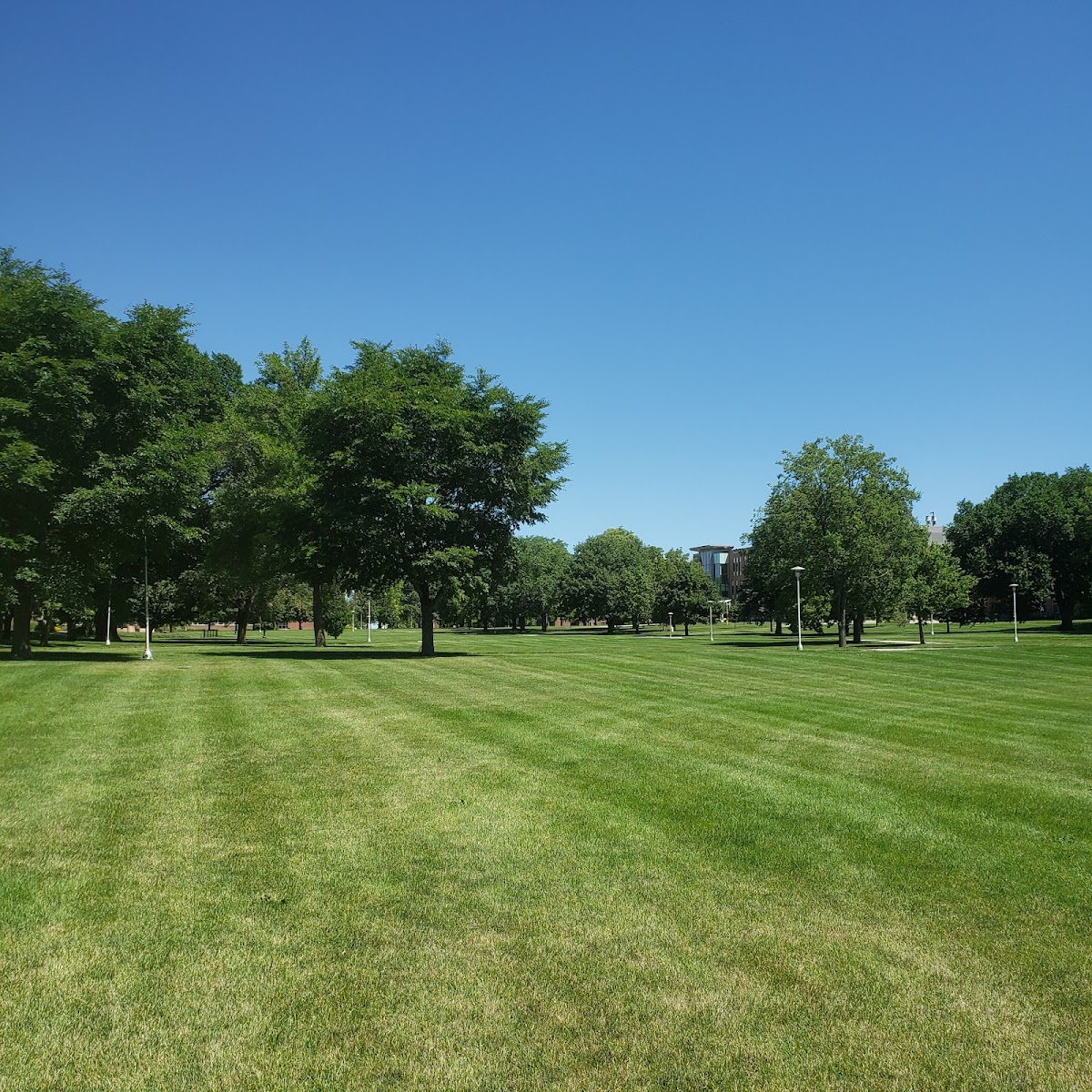 South Dakota State University photo 8