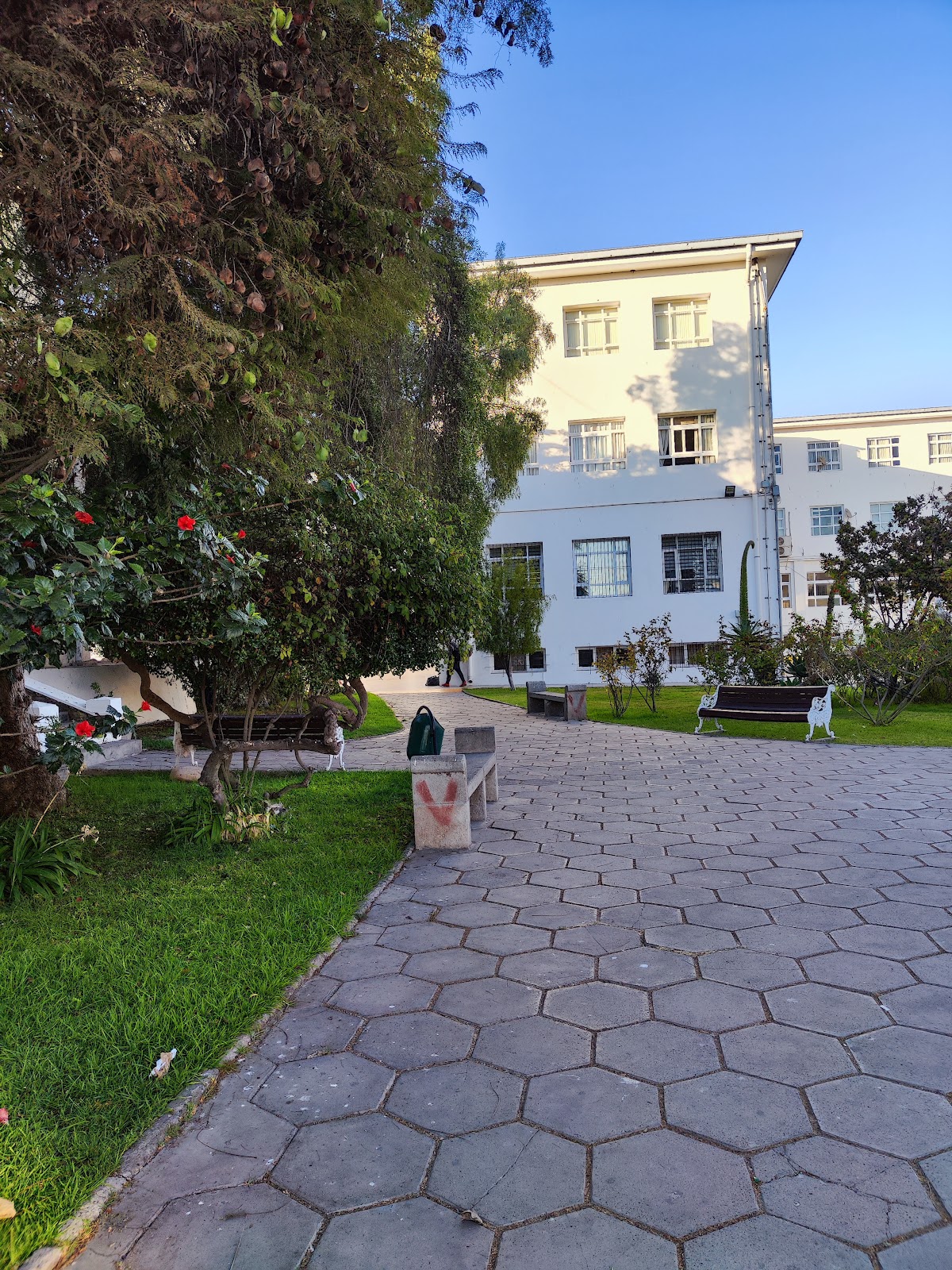 University of La Serena photo 8