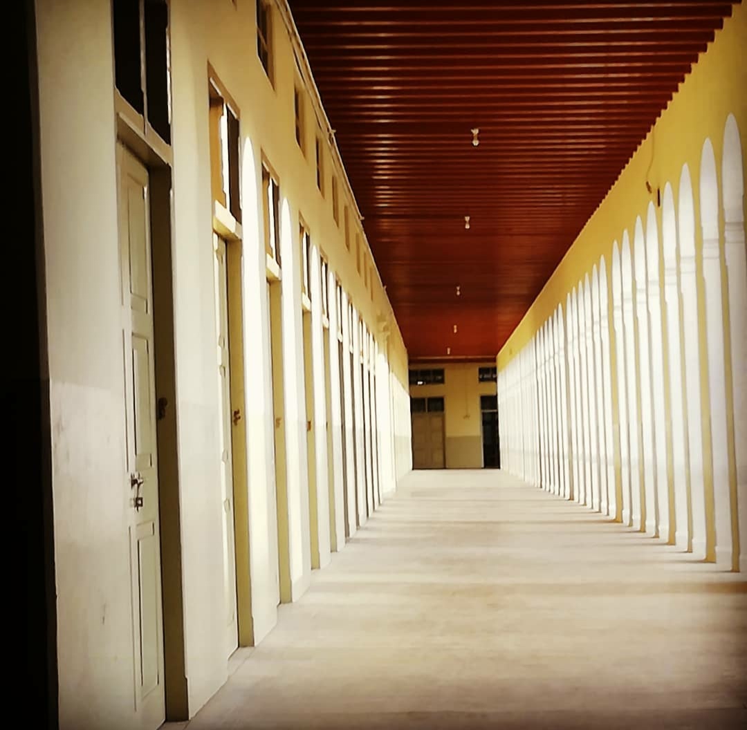 Loyola College, Chennai photo 6