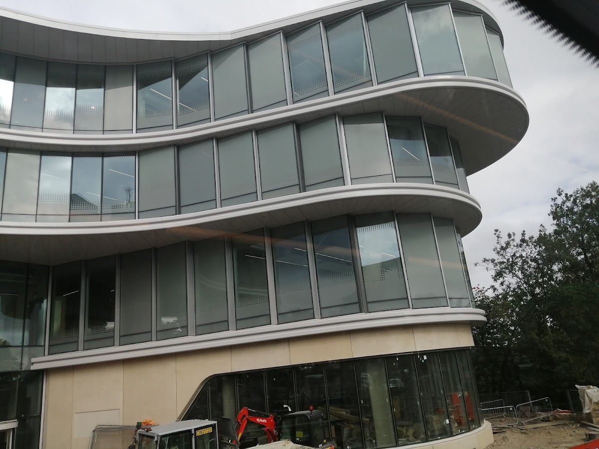 University of Sheffield photo 5