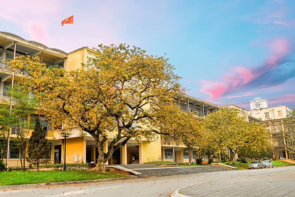 Hanoi University of Science and Technology photo 3