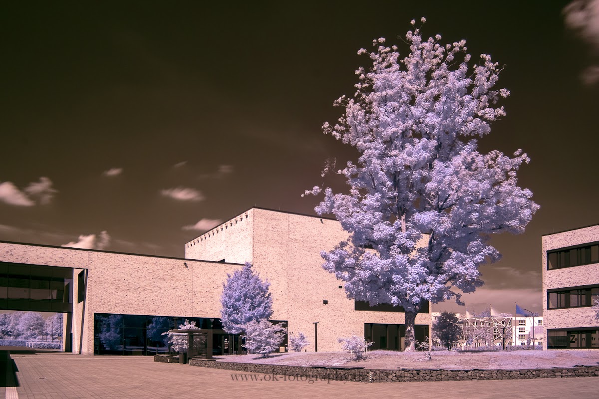 Hochschule Hamm-Lippstadt photo 5