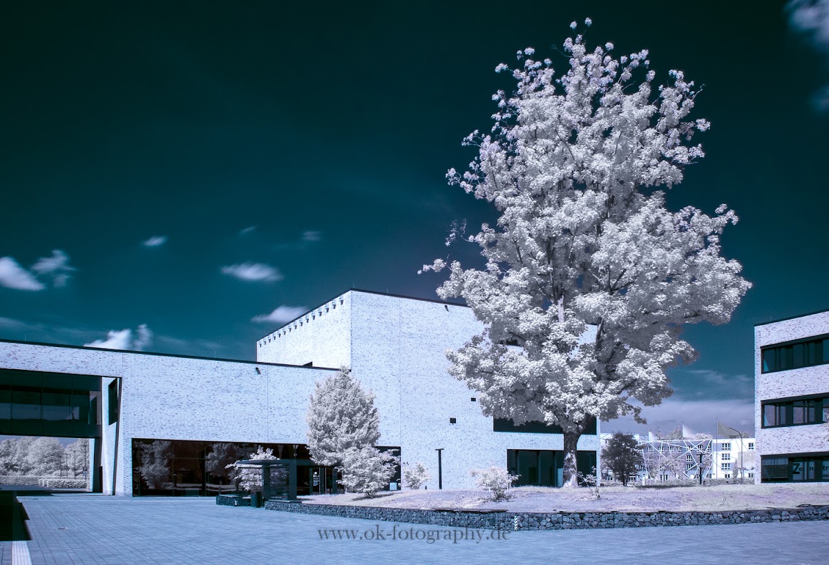 Hochschule Hamm-Lippstadt photo 7