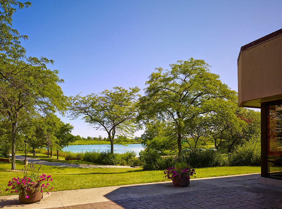 Regional University 2974 photo 7