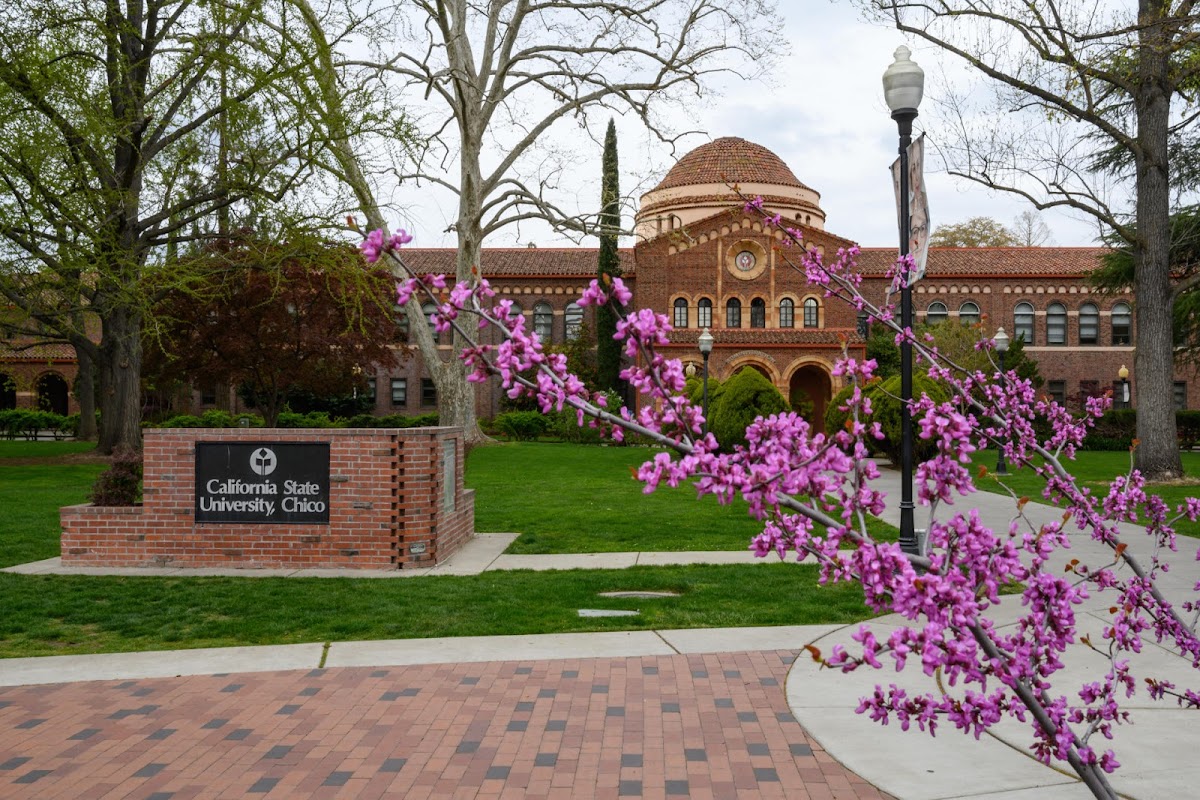 California State University Chico photo 2