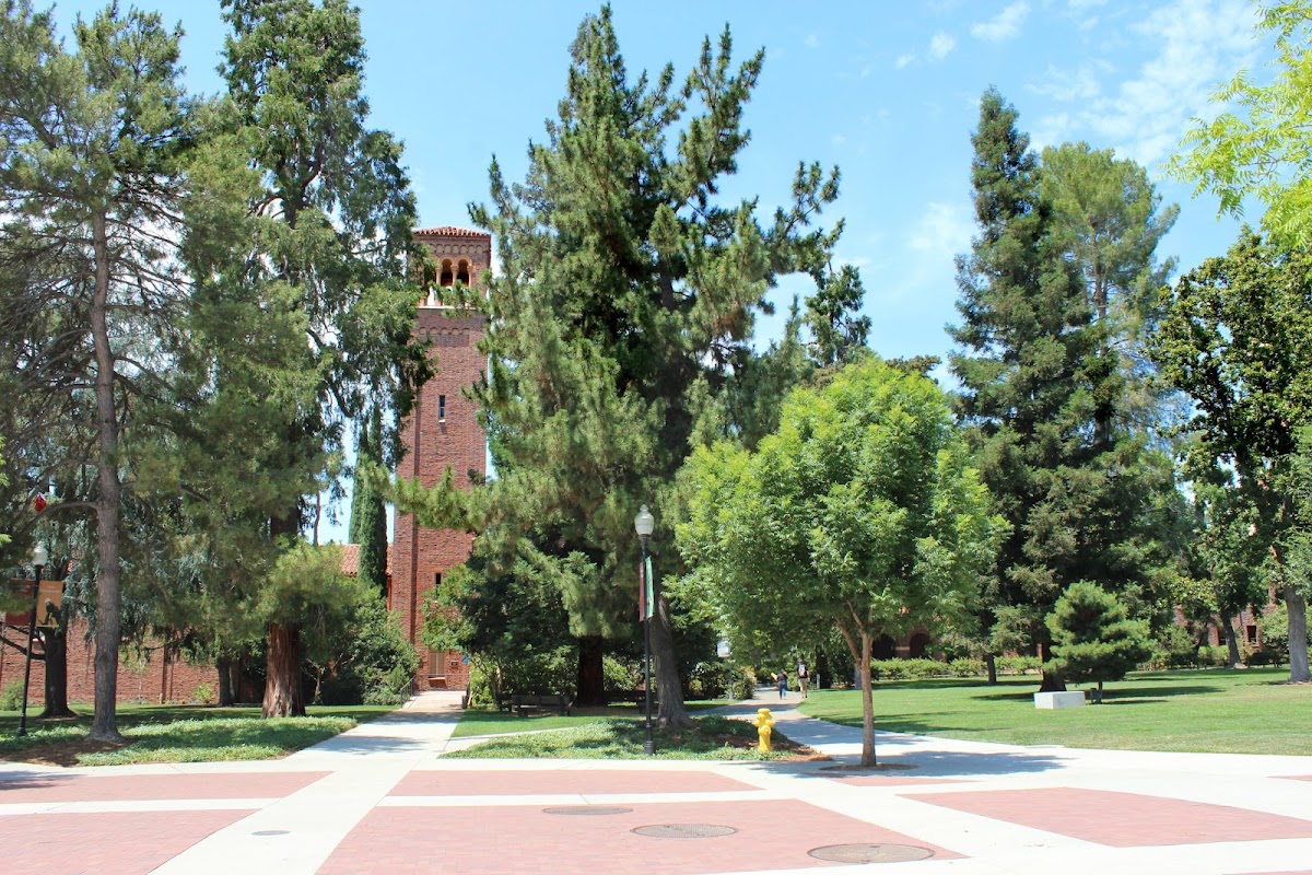 California State University Chico photo 3