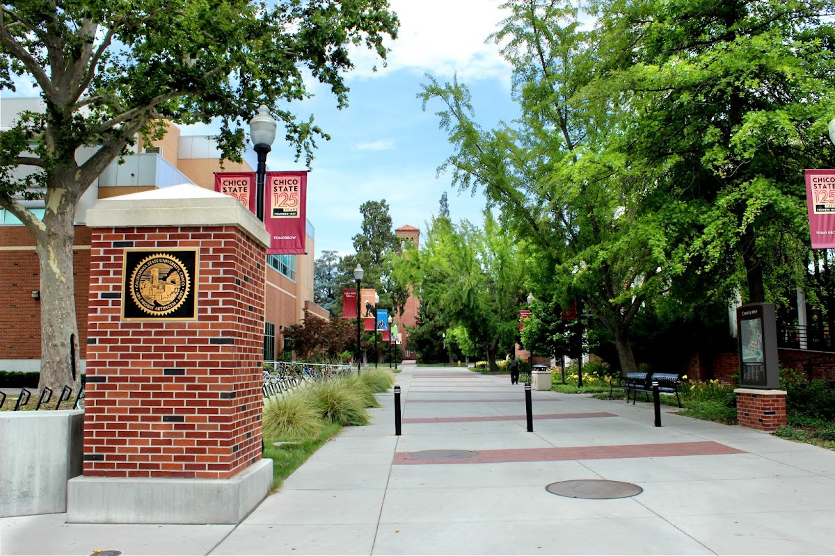 California State University Chico photo 4