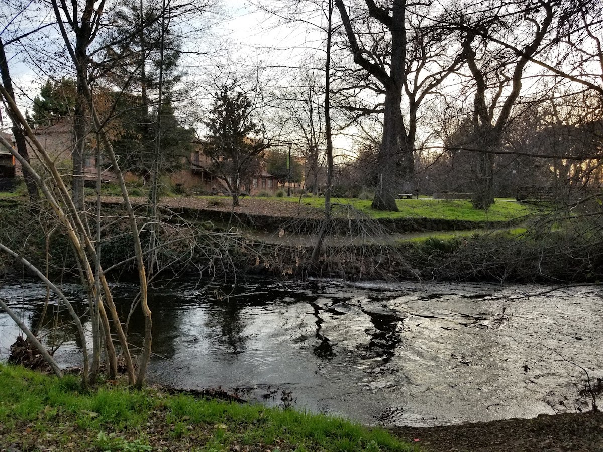 California State University Chico photo 7
