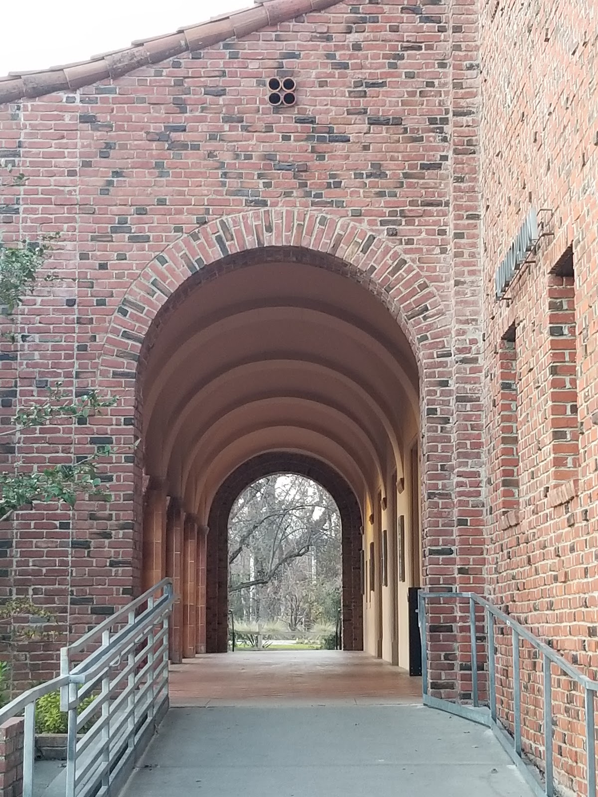 California State University Chico photo 8