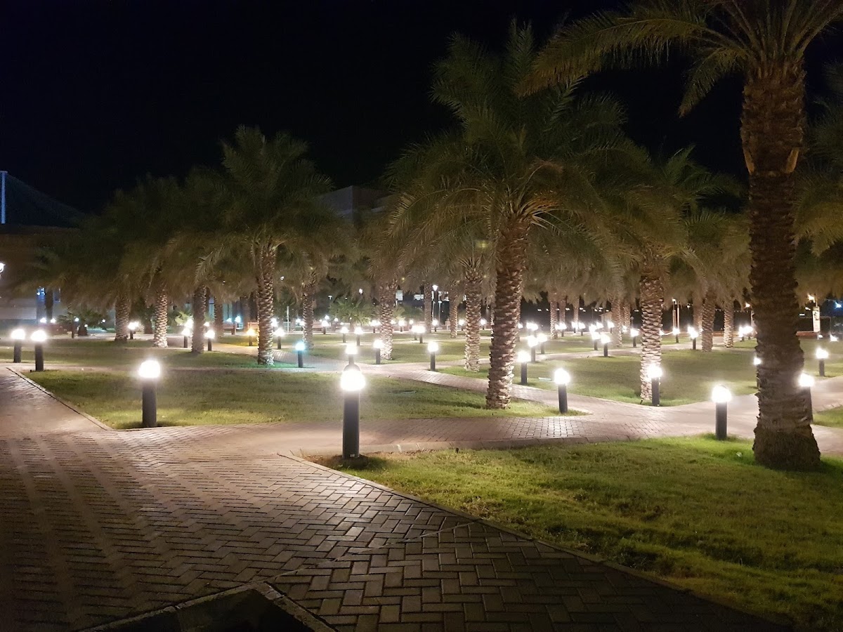 Taibah University photo 3
