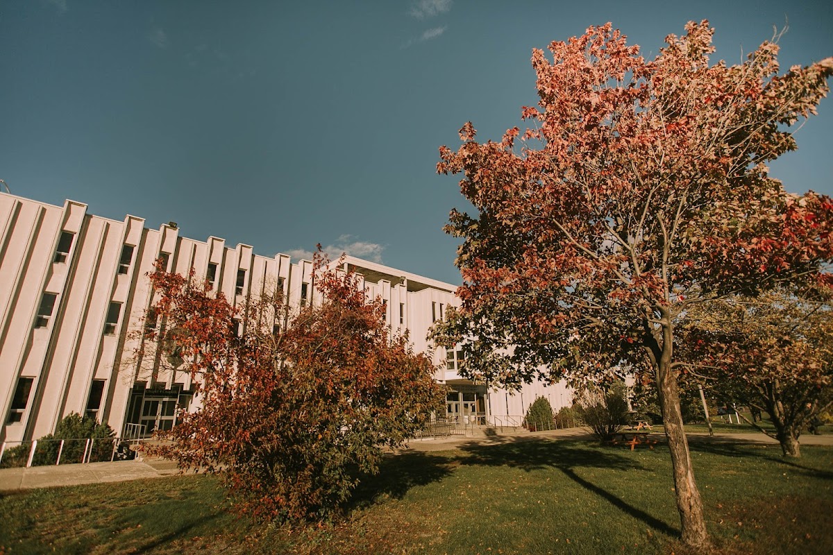 Université de Sudbury photo 6