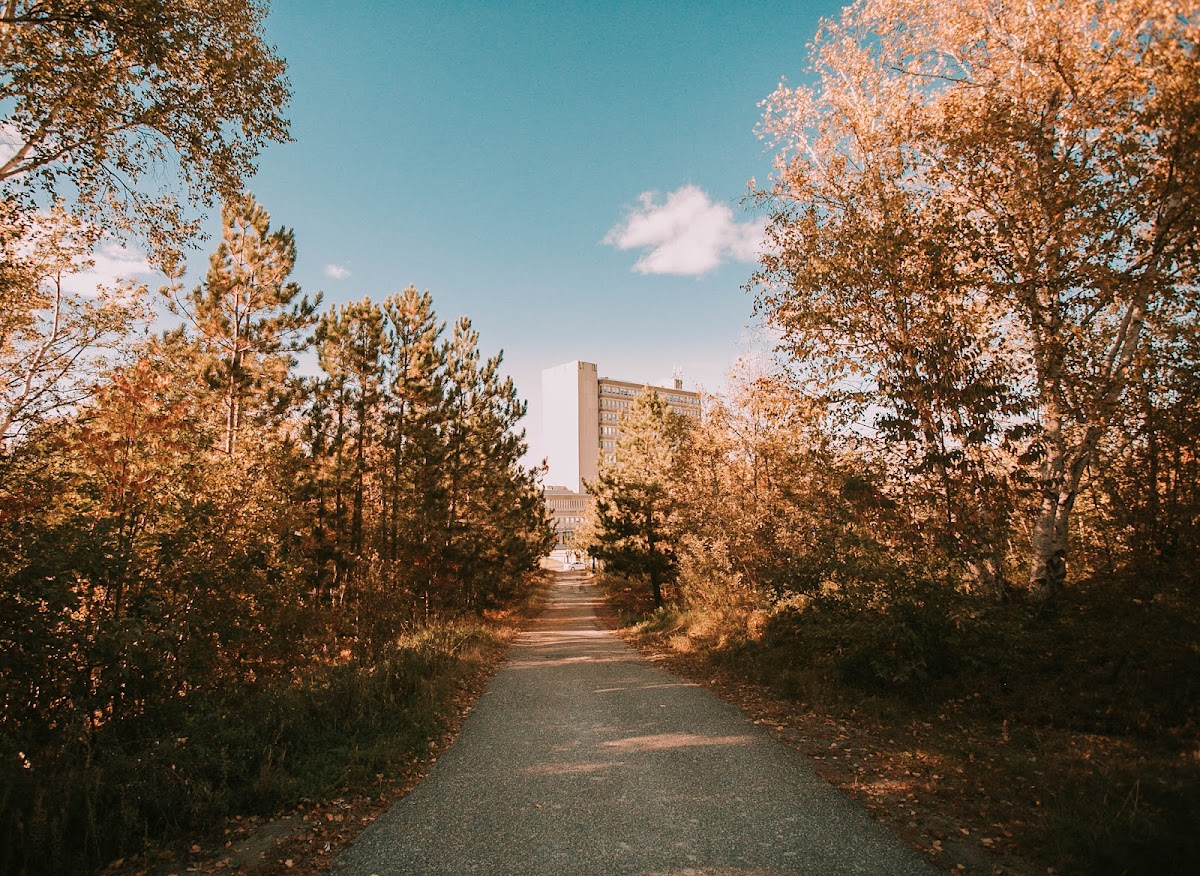 Université de Sudbury photo 8