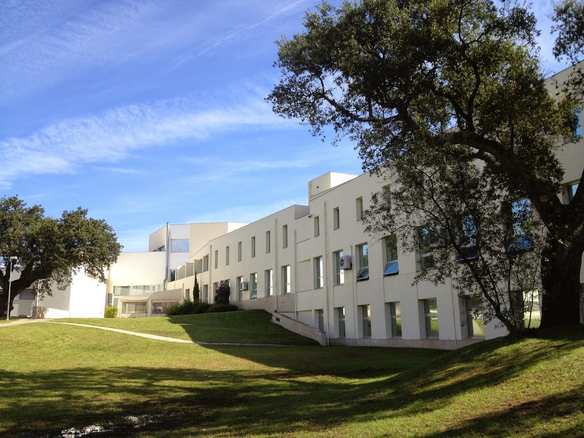 Polytechnic Institute of Setúbal photo 6