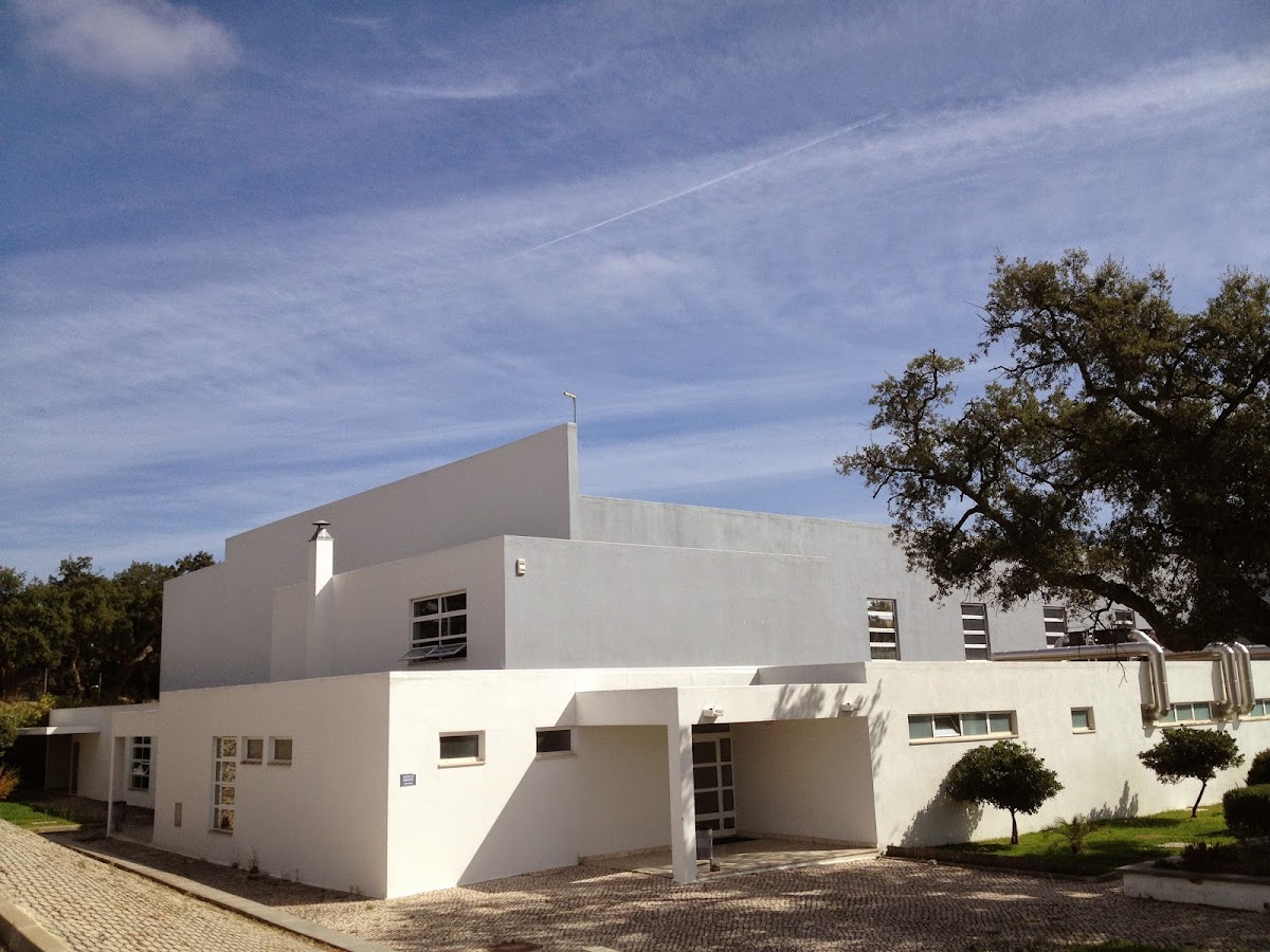 Polytechnic Institute of Setúbal photo 7