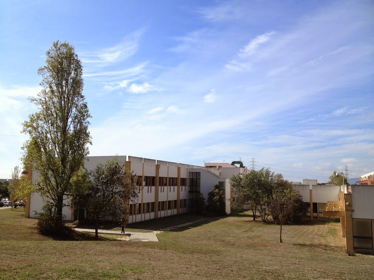 Polytechnic Institute of Setúbal photo 8