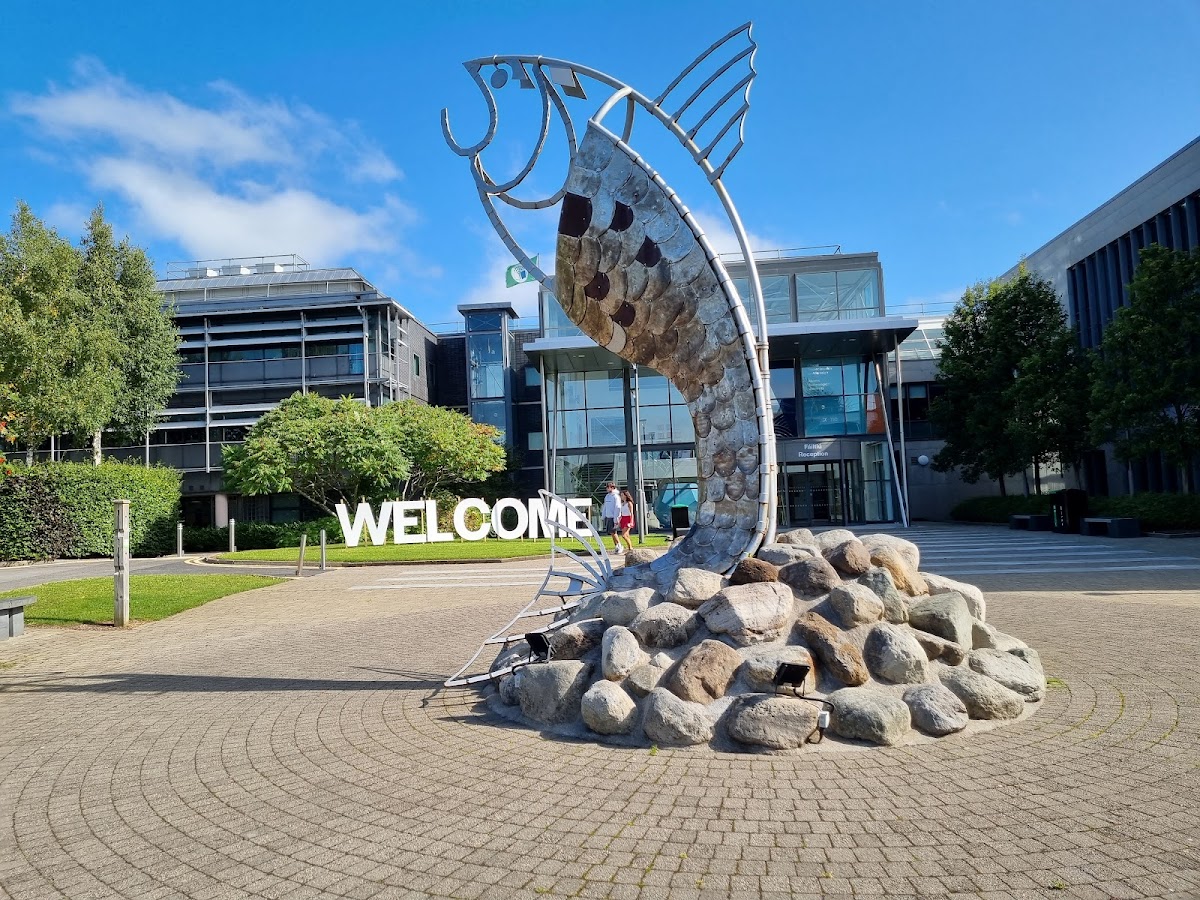 Institute of Technology, Sligo photo 3