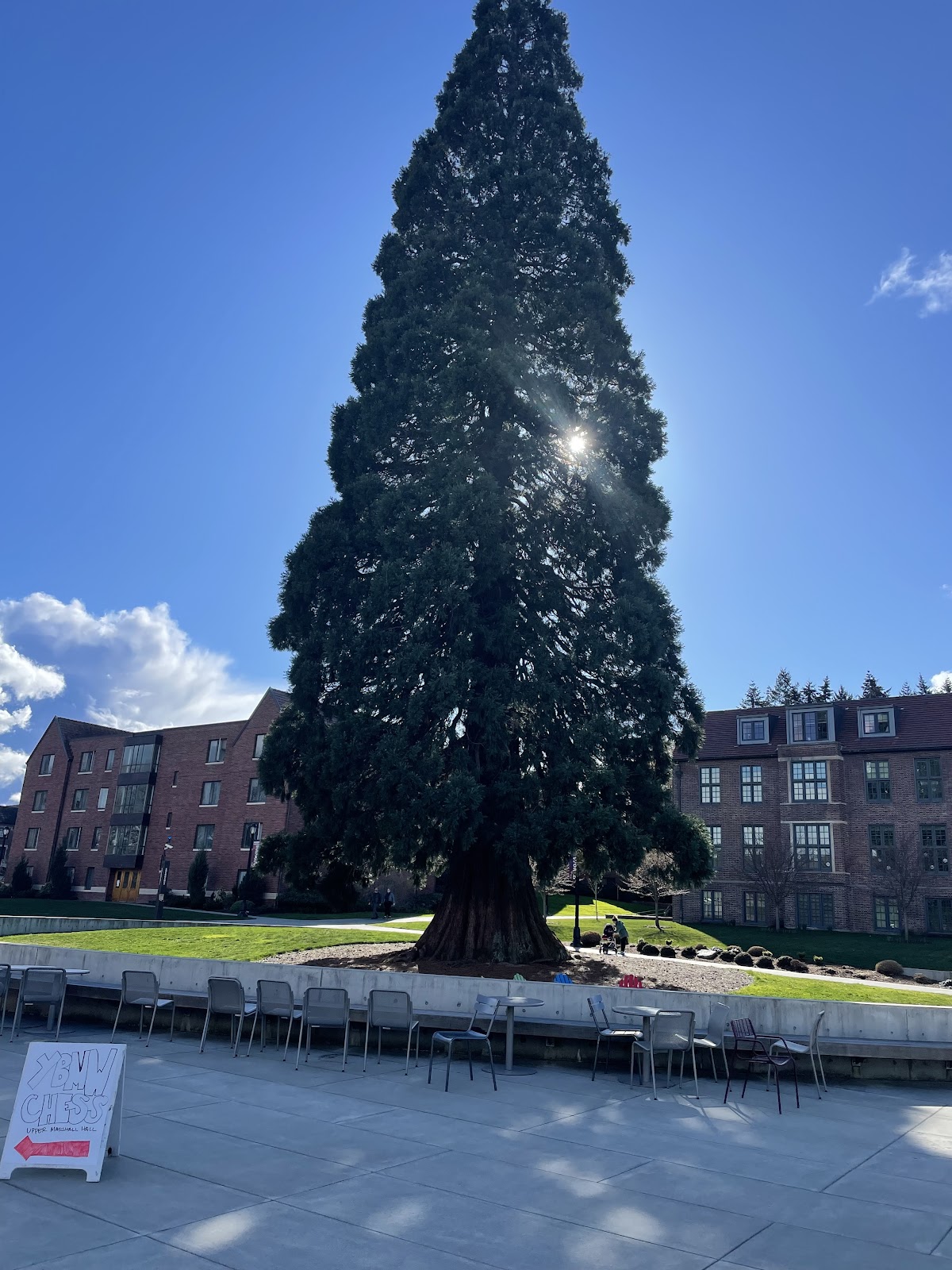 University of Puget Sound photo 8