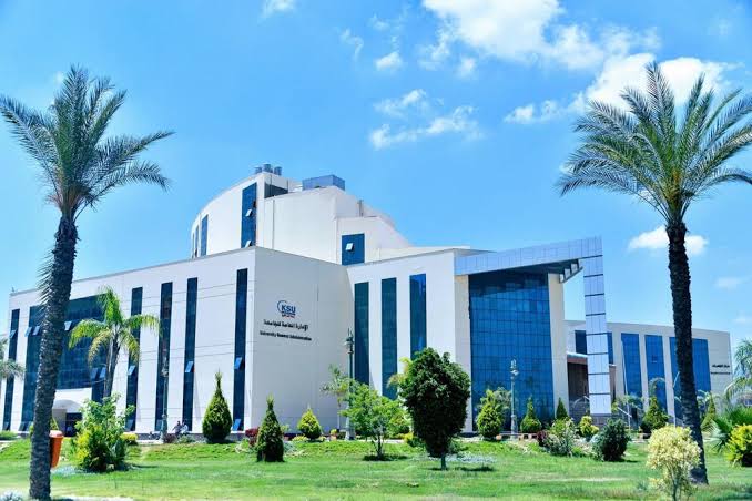 Kafr El Sheikh University photo 5