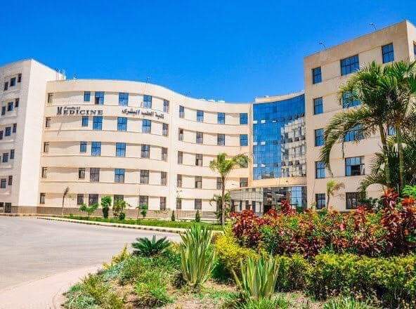 Kafr El Sheikh University photo 7