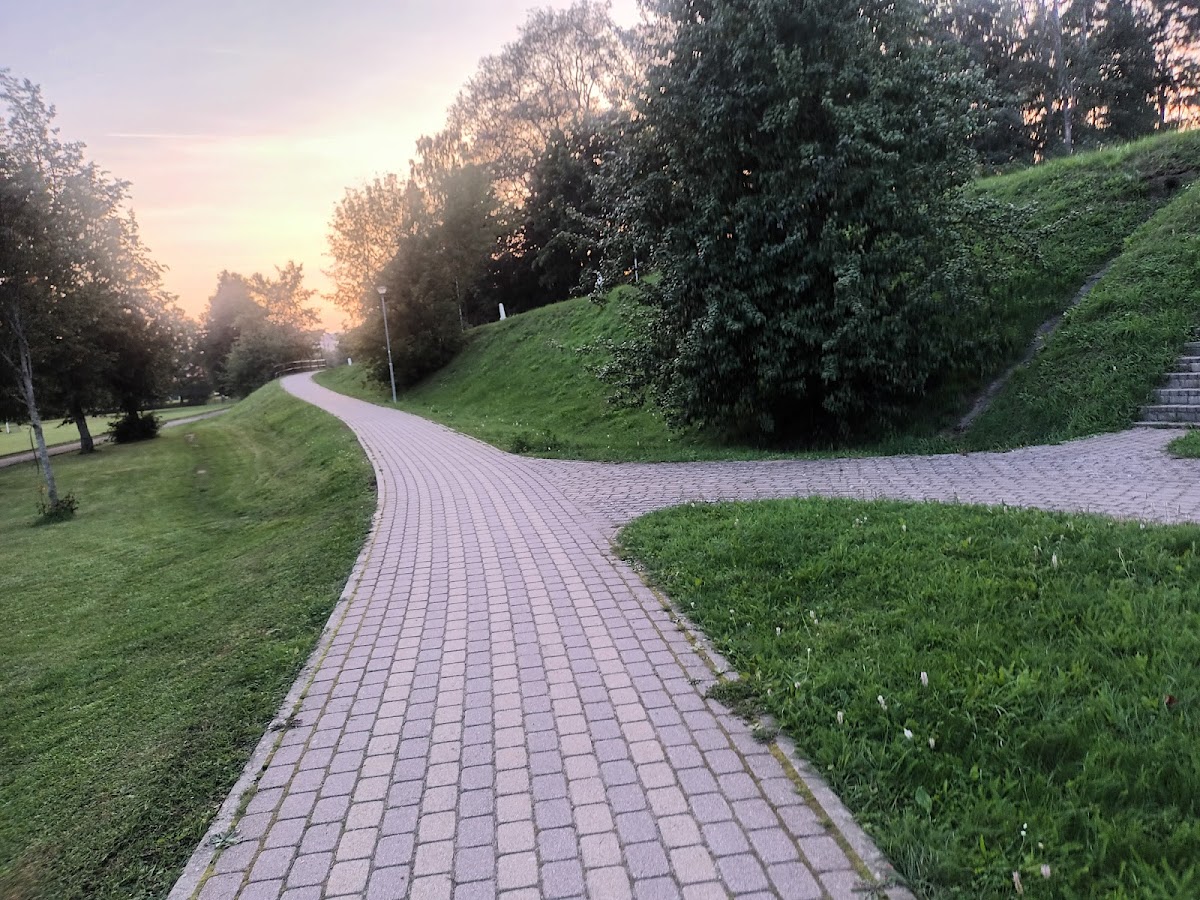 BA School of Business and Finance photo 7