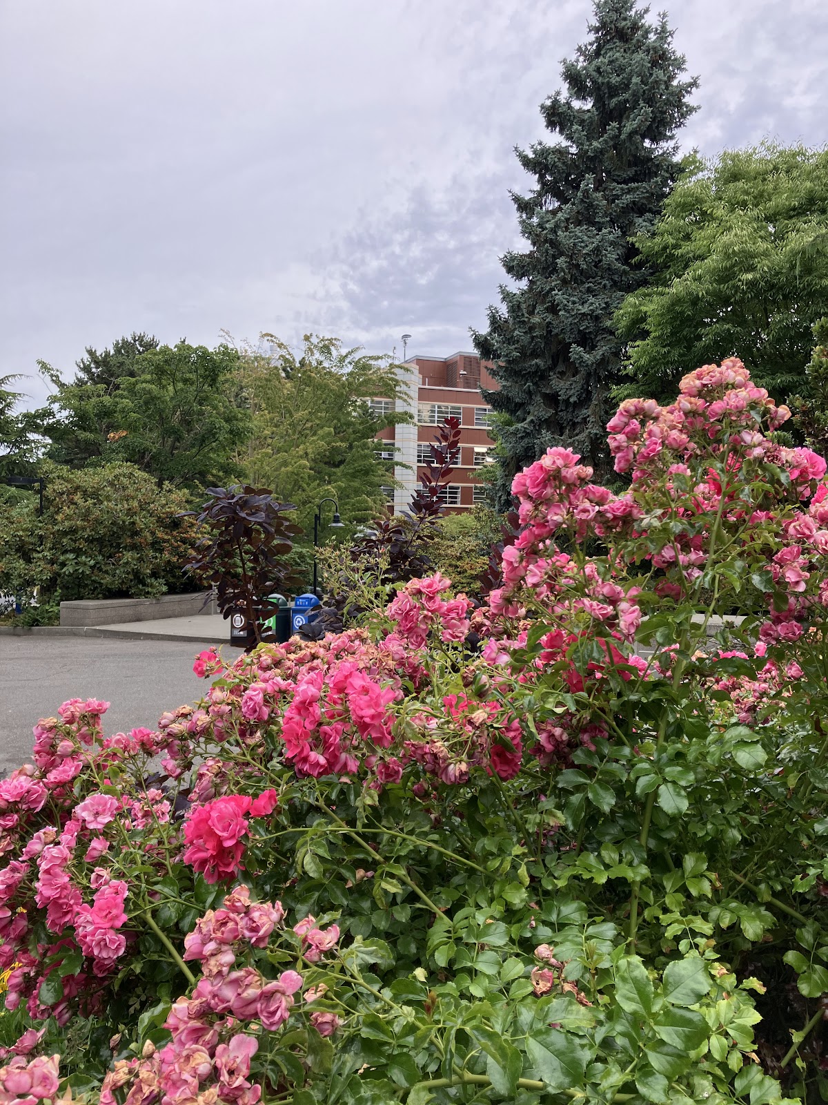 University of 2083 photo 8