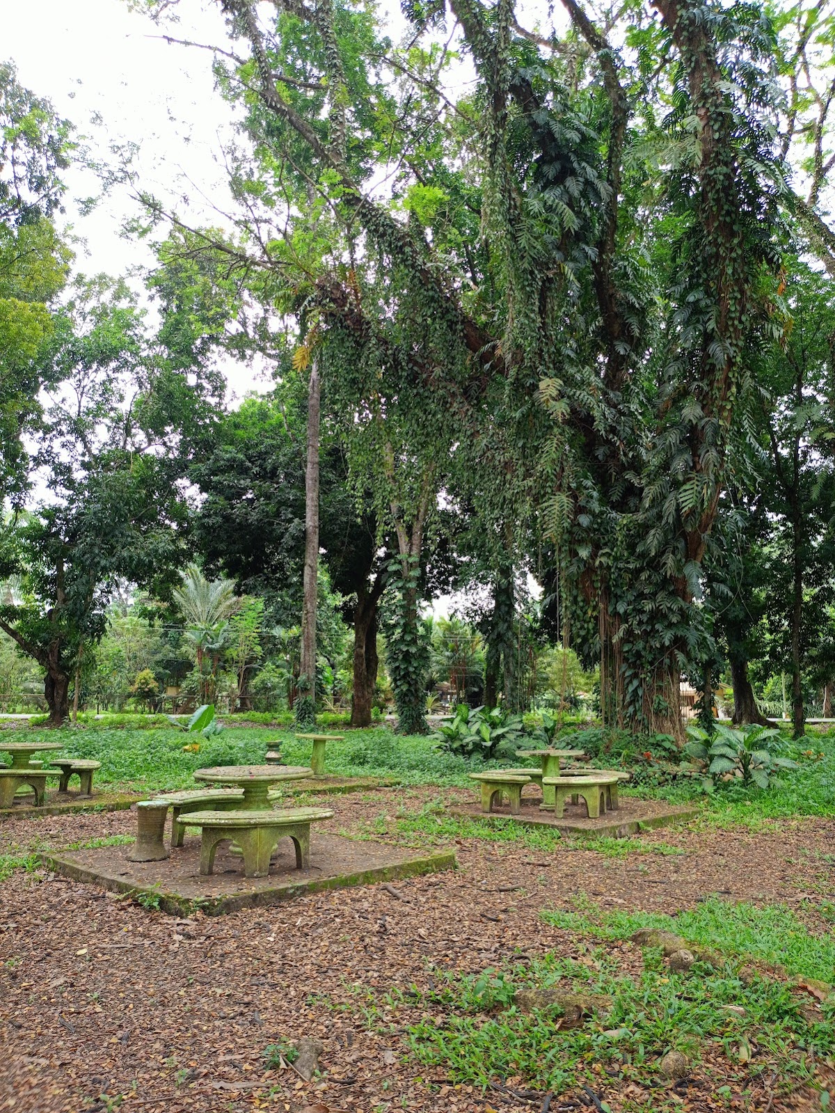 University of Southern Mindanao photo 8