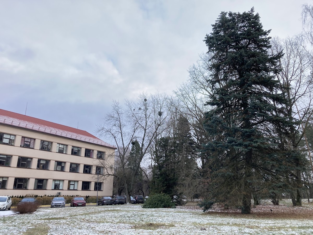 Kaunas Forestry and Environmental Engineering University of Applied Sciences photo 6