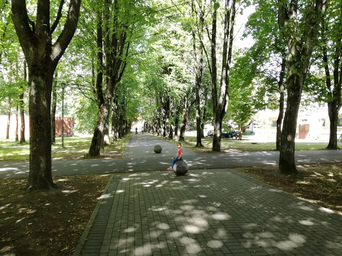 Kaunas Forestry and Environmental Engineering University of Applied Sciences photo 7