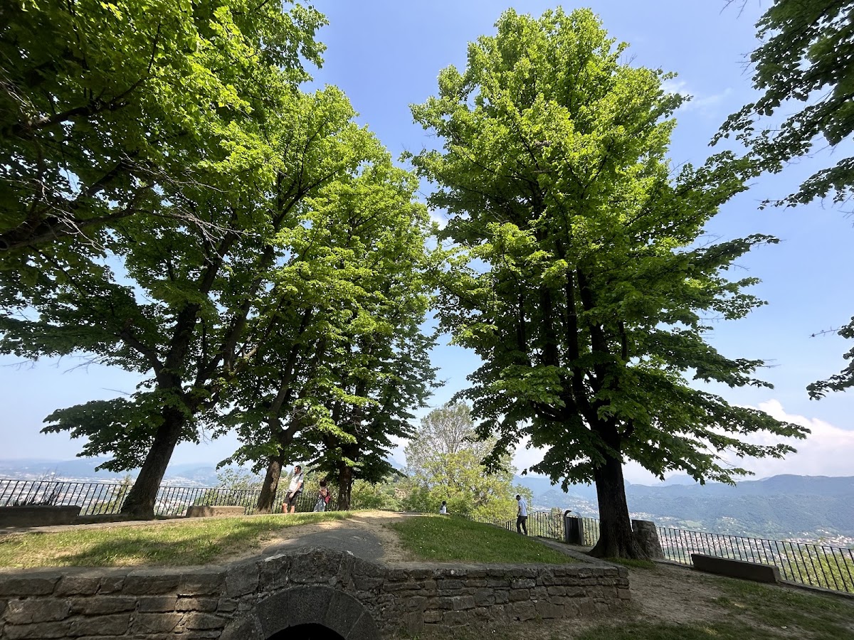 University of Bergamo photo 6