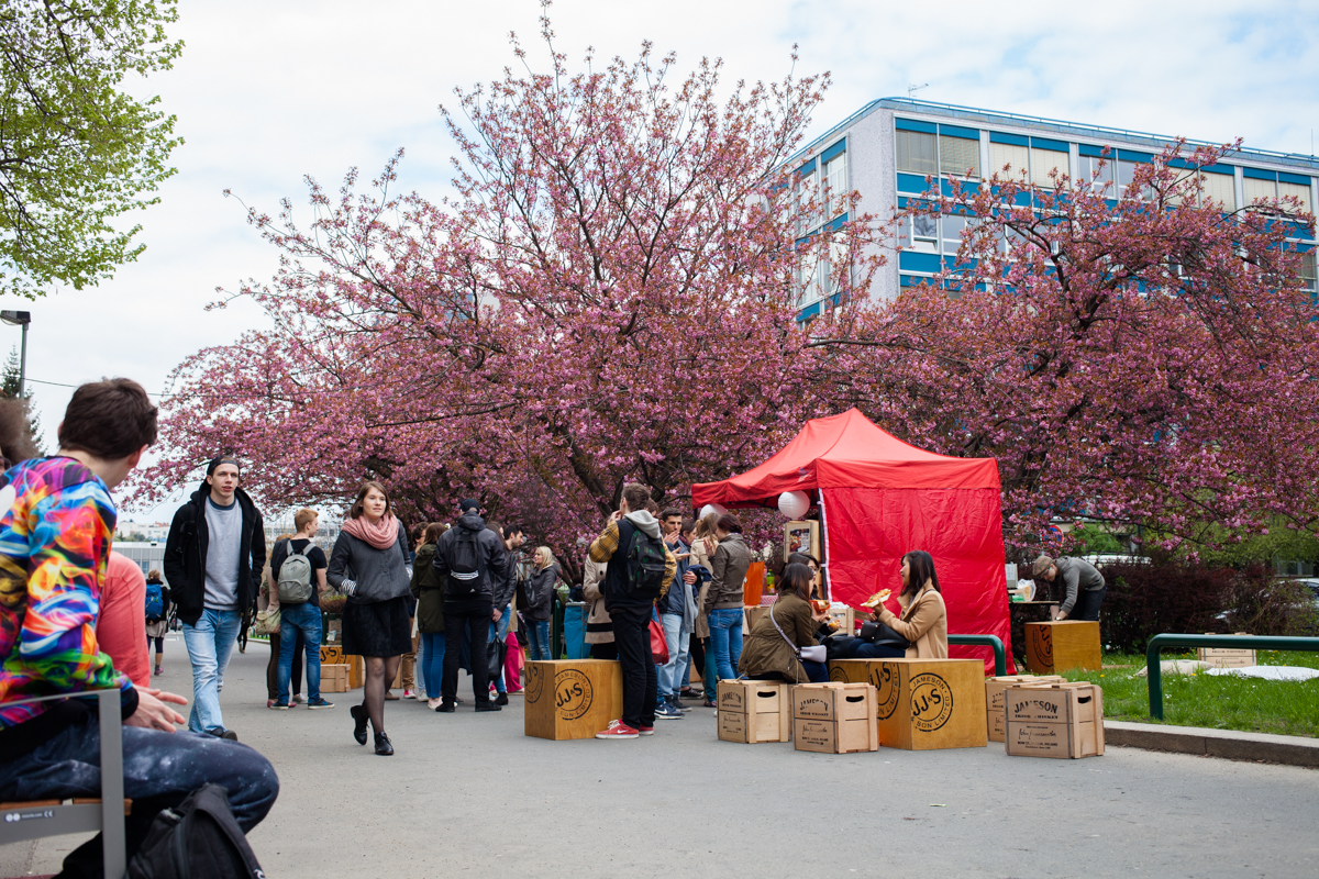 University of Chemistry and Technology, Prague photo 4