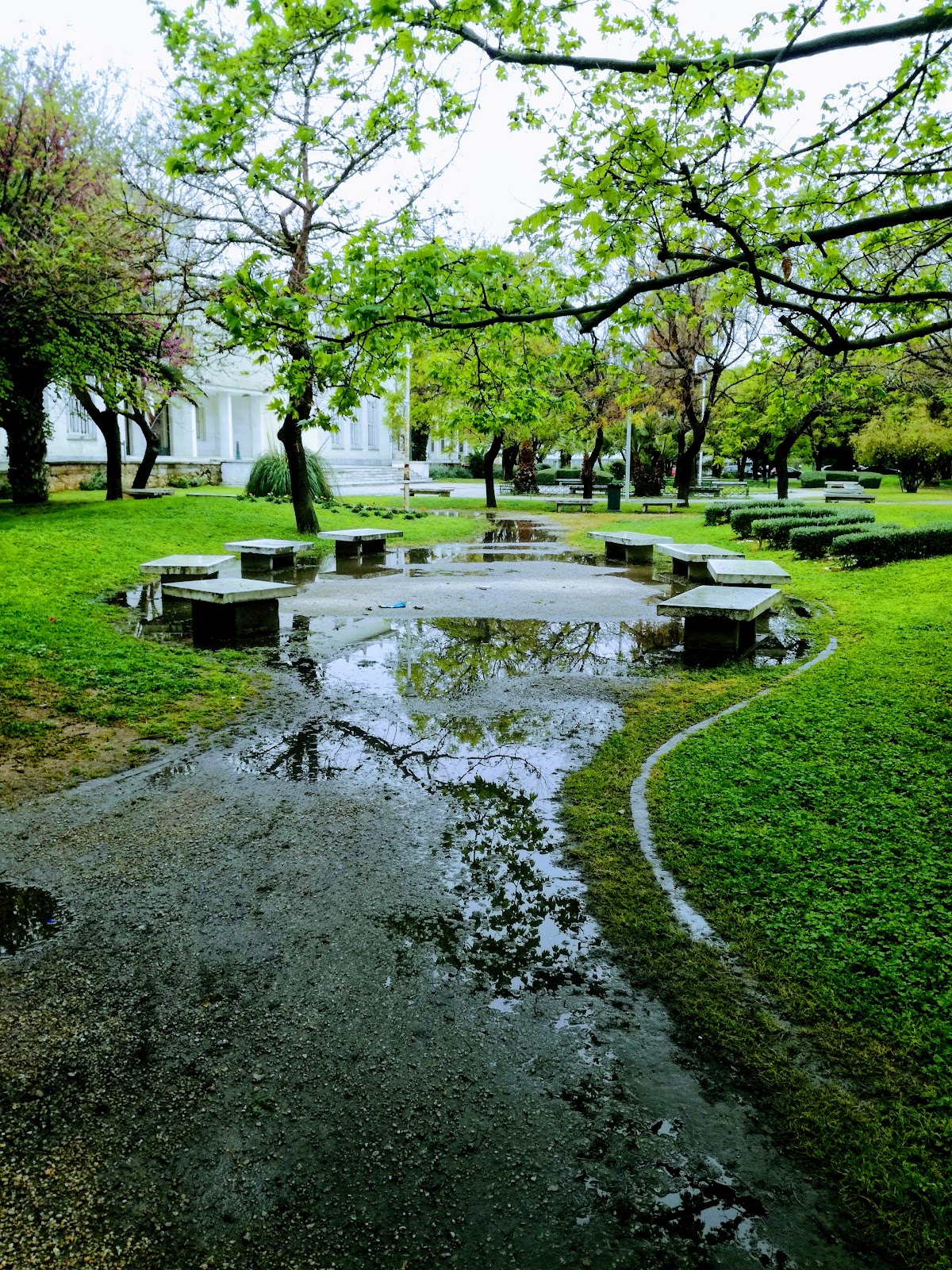 Agricultural University of Athens - Athens photo 8