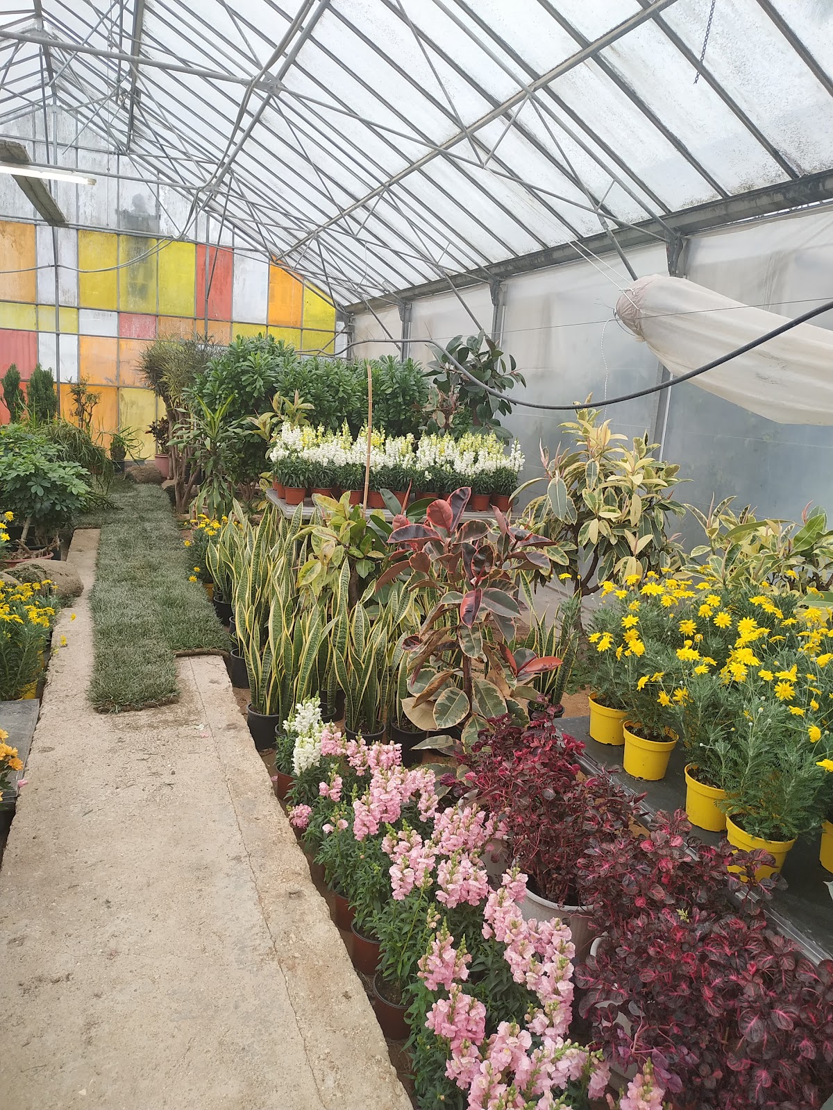 Agricultural University of Athens - Athens photo 9