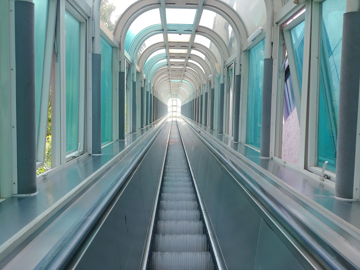 Sangmyung University photo 5