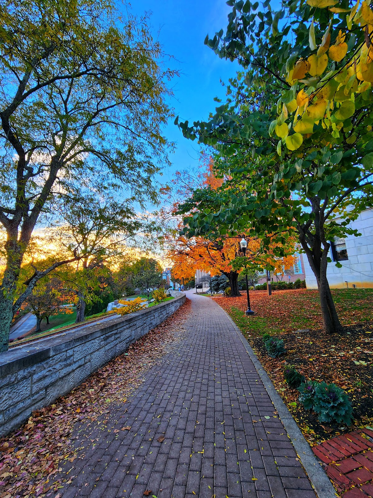 Denison University photo 9