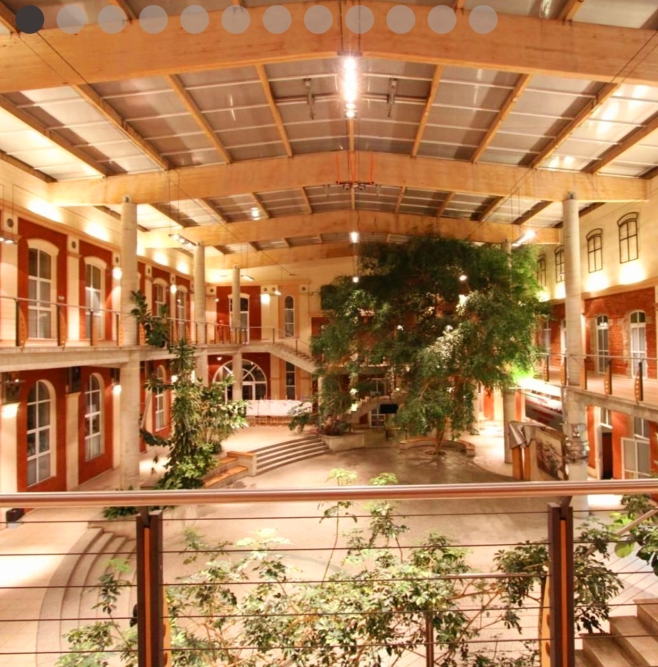 University of Humanities and Economics in Lodz photo 8