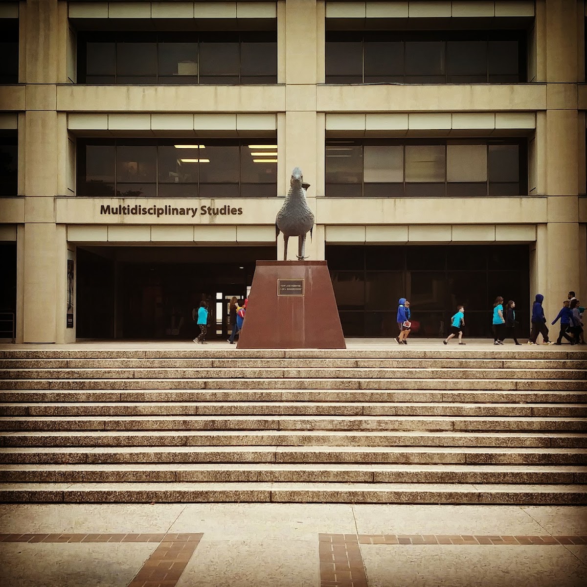 University of Texas San Antonio photo 8