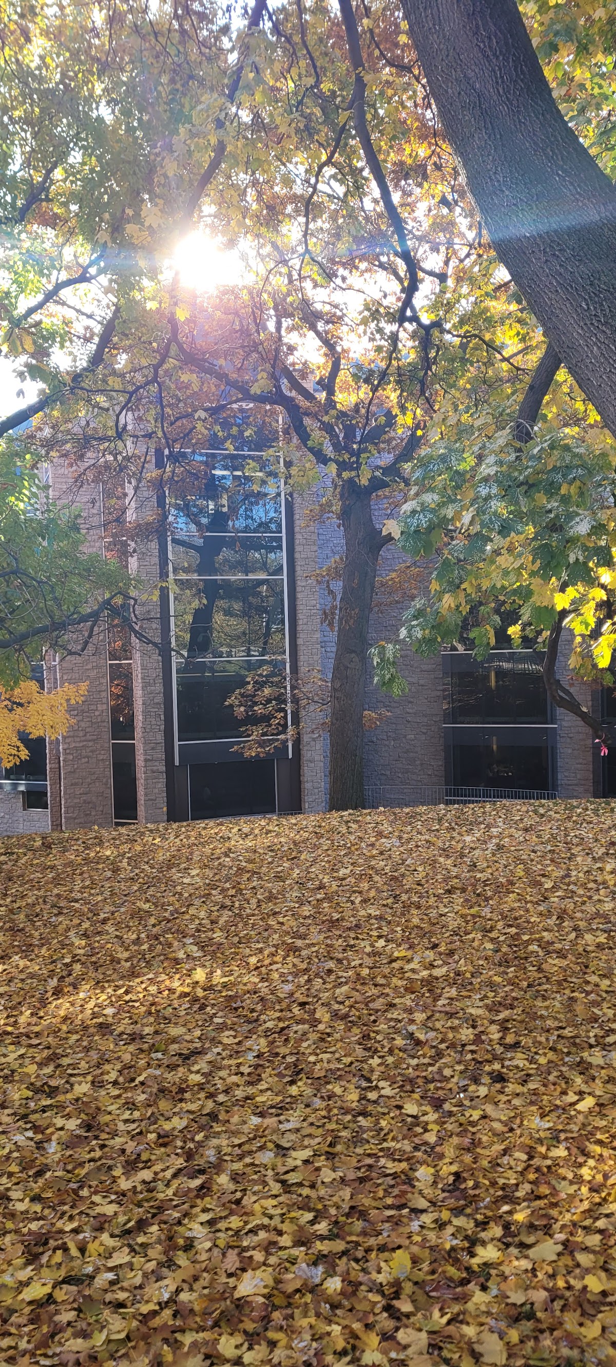 University of Toronto School of Public Policy and Governance photo 9