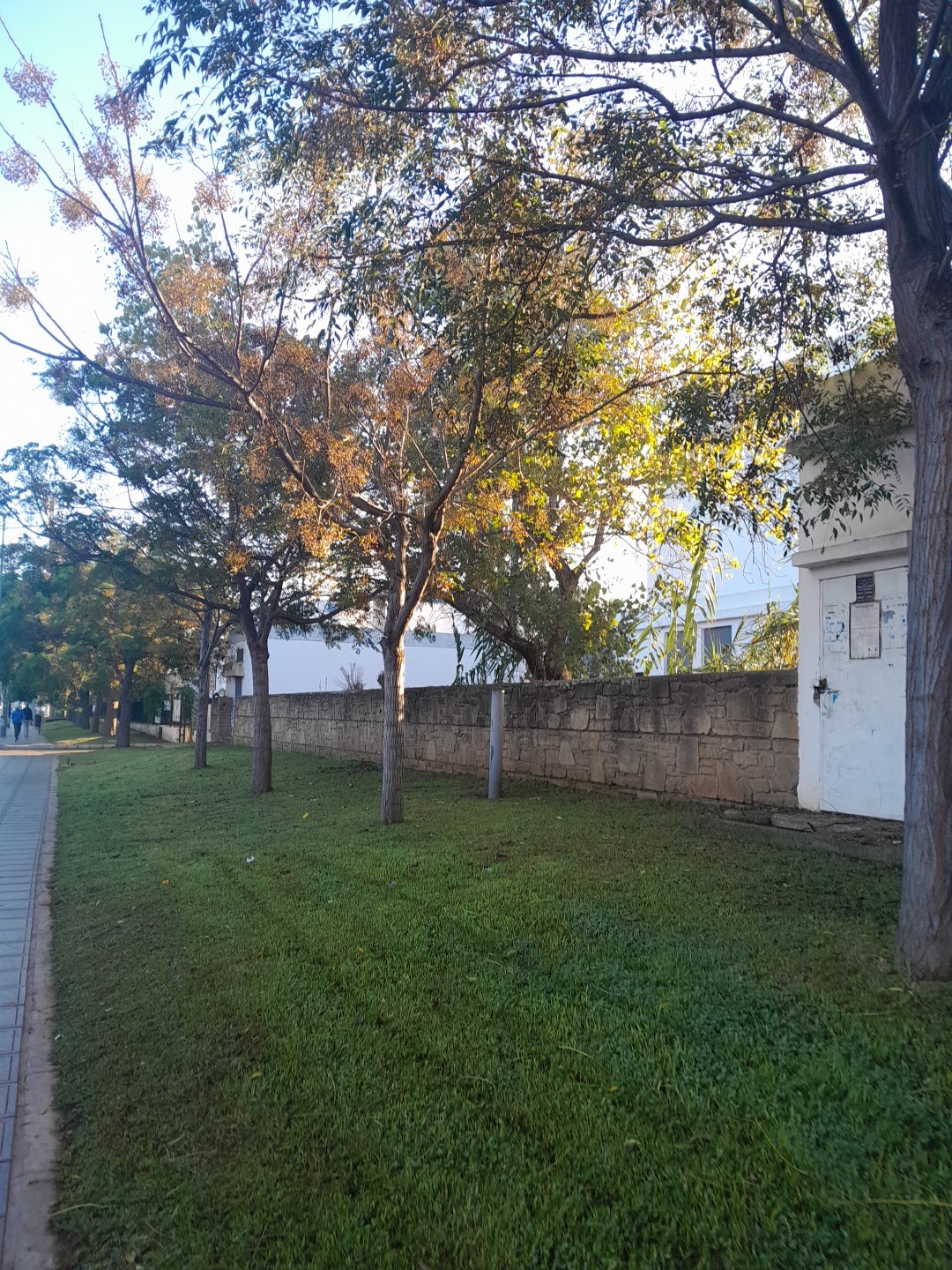 Mohammed V University photo 8